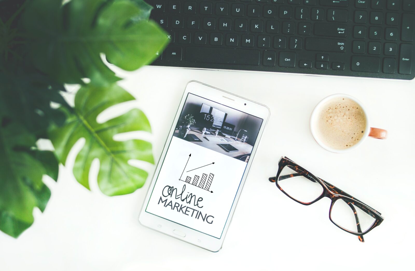 Startup marketing
