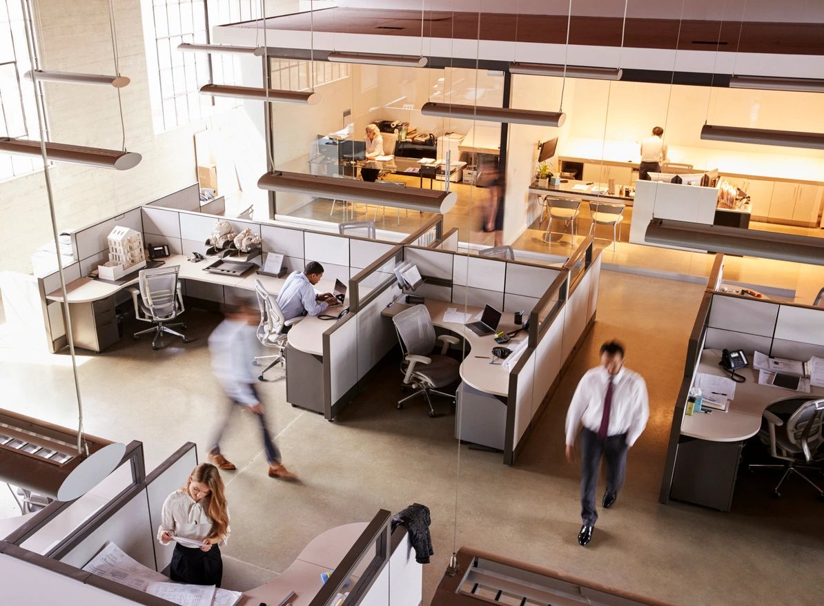 How Much Corporations Are Paying for Veterinary Practices
